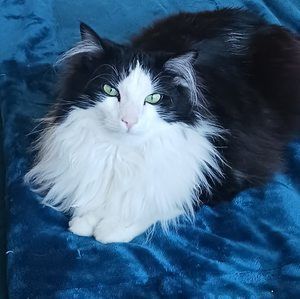 Meet your Posher, Gail